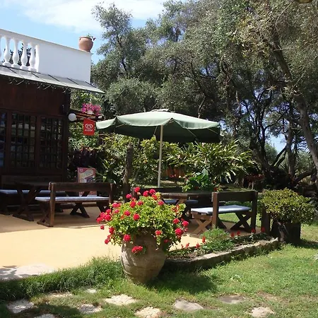 Skala